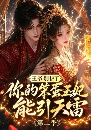 王爷别护了,你的笨蛋王妃能引天雷第一季