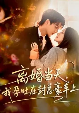 离婚当天，我孕吐在封总豪车上