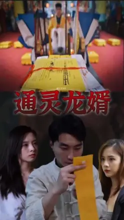 通灵龙婿