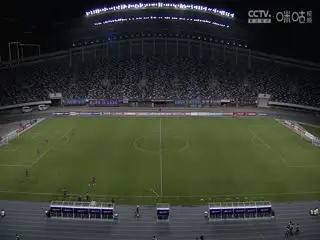 足协杯 石家庄功夫VS青岛西海岸 20240622