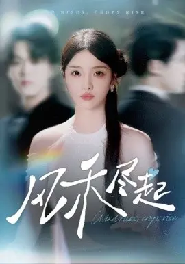 风禾尽起短剧