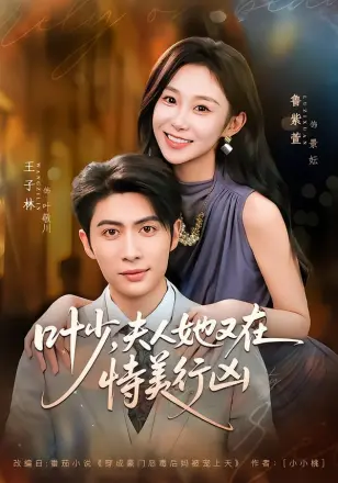叶少，夫人她又在恃美行凶