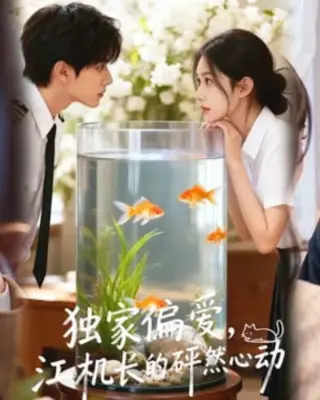 独家偏爱江机长的砰然心动amp恋心月下