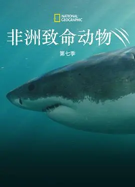 非洲致命动物第五季