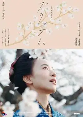 花朵盛开
