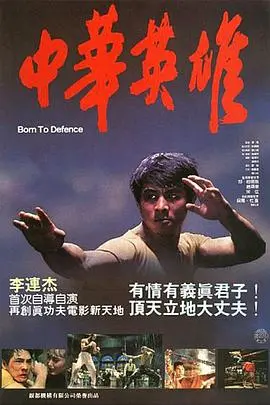 中华英雄(1988)