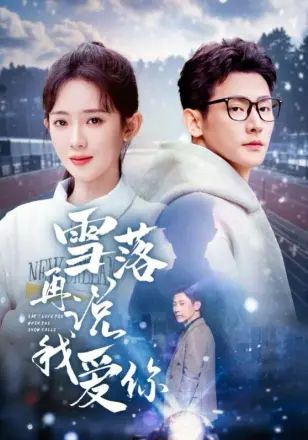 雪落再说我爱你