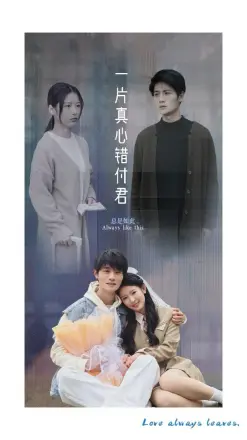 一片真心错付君