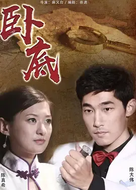 卧底2010