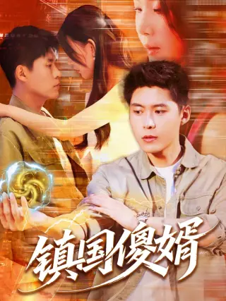 镇国傻婿