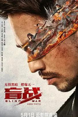盲战(2022)