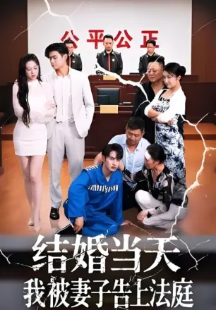 结婚当天我被妻子告上法庭