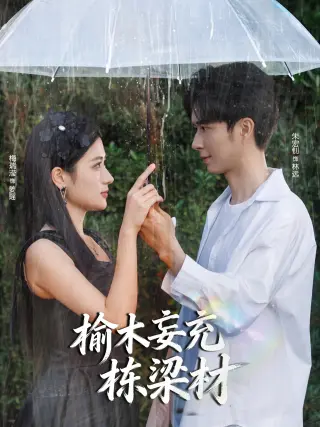 榆木妄充栋梁材
