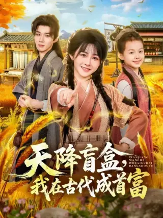 天降盲盒，我在古代成首富