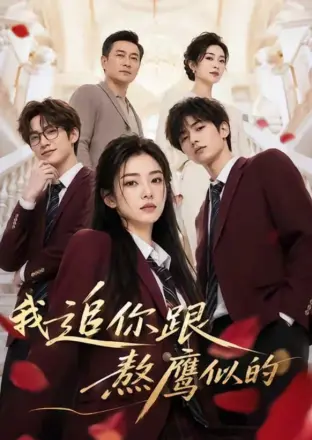 我追你跟熬鹰似的