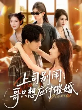 上司别闹哥只想应付催婚