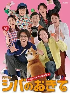 柴犬的规矩我们这群狗痴编辑部