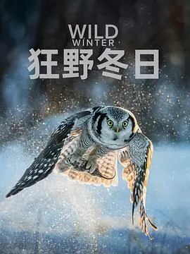 狂野冬日第一季