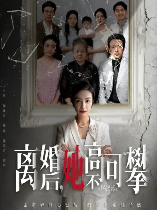 离婚后她高不可攀（至亲之人伤我最深）