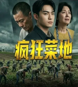 疯狂菜地