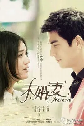 未婚妻(2013)