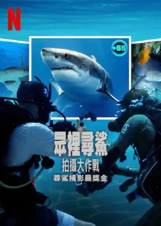 众里寻鲨 拍摄大作战