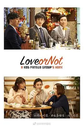 Love or Not