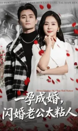 一孕成婚,闪婚老公太粘人