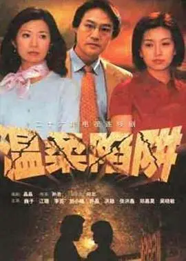 温柔陷阱(2001)