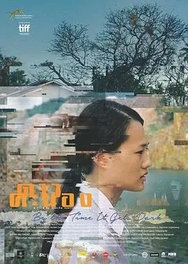 入黑之时(2016)
