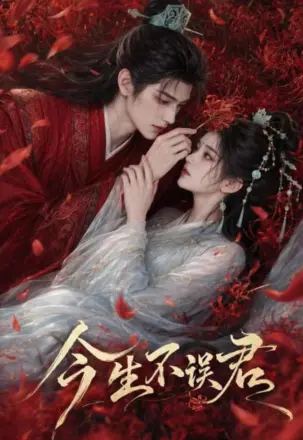 今生不误君