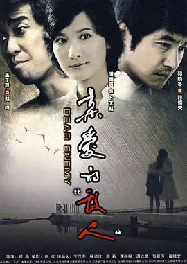 亲爱的敌人(2008)