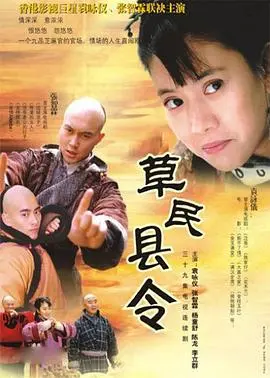 草民县令