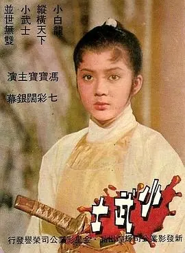 小武士(1969)