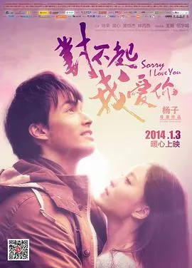 对不起我爱你(2013)