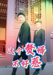 这个赘婿不好惹
