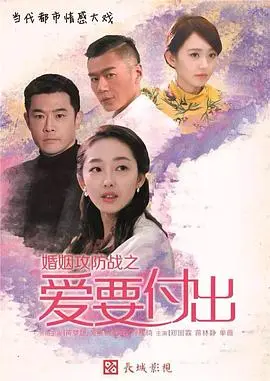 婚姻攻防战之爱要付出(2015)
