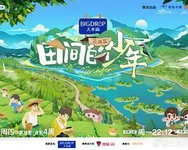 田间的少年