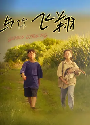 与你飞翔