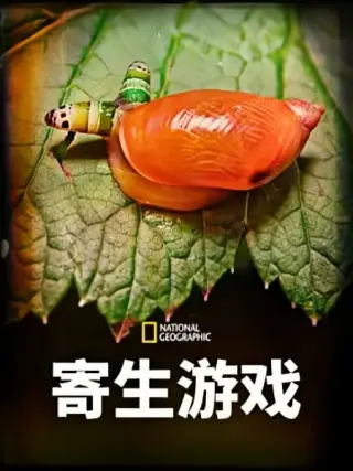 寄生游戏