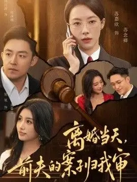 离婚当天，前夫的案子归我审