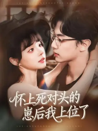 怀上死对头的崽后我上位了