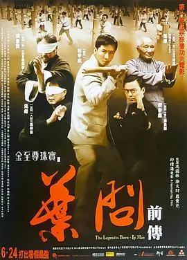 叶问前传(2010)