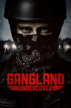 黑帮卧底第二季