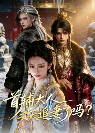 首辅大人，今天追妻了吗