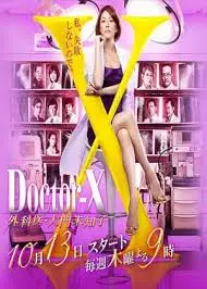 X医生：外科医生大门未知子第4季