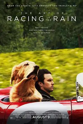我在雨中等你(2019)