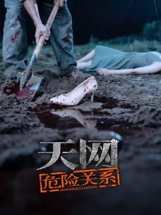 天网:危险关系