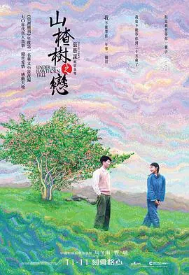 山楂树之恋2010