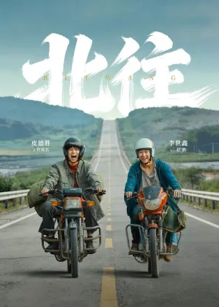 北往
